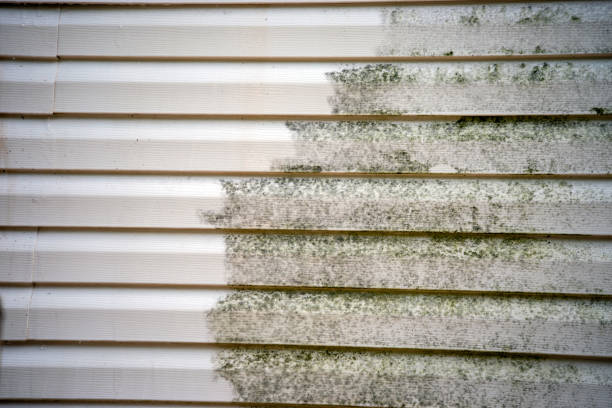 How To Choose The Right Materials for Your Siding Installation in 'Pleasant Hills, PA